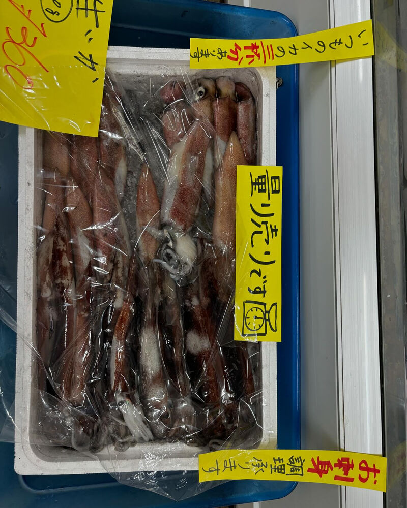 ブログ画像