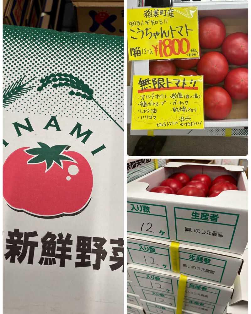 ブログ画像