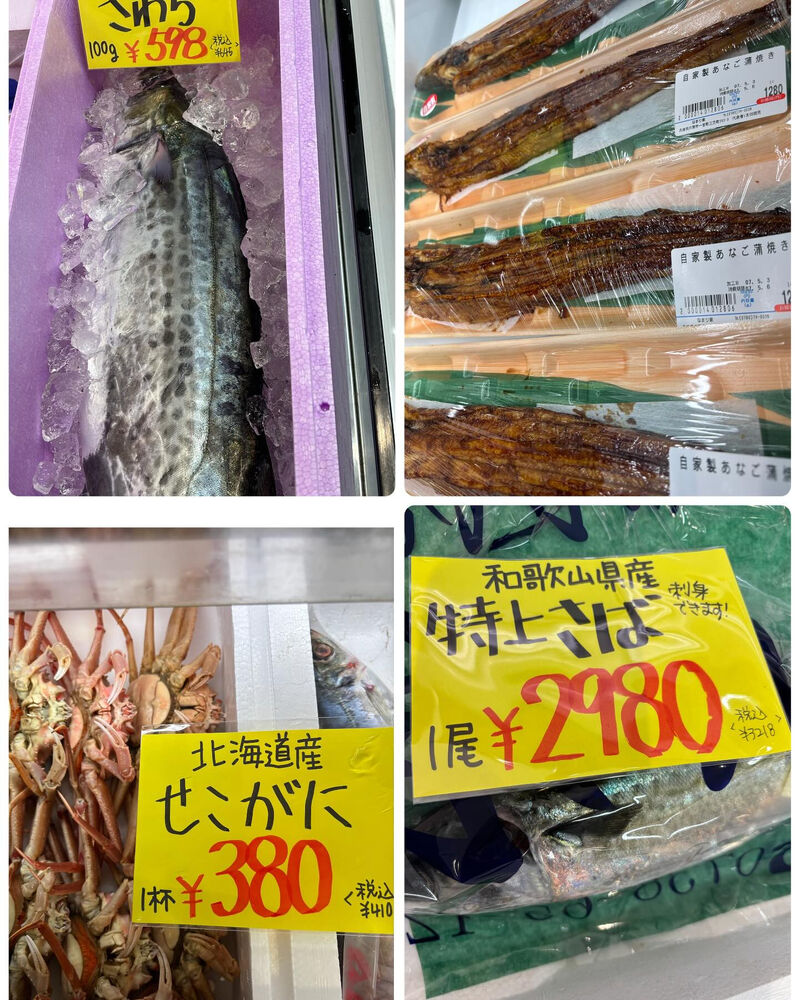 ブログ画像