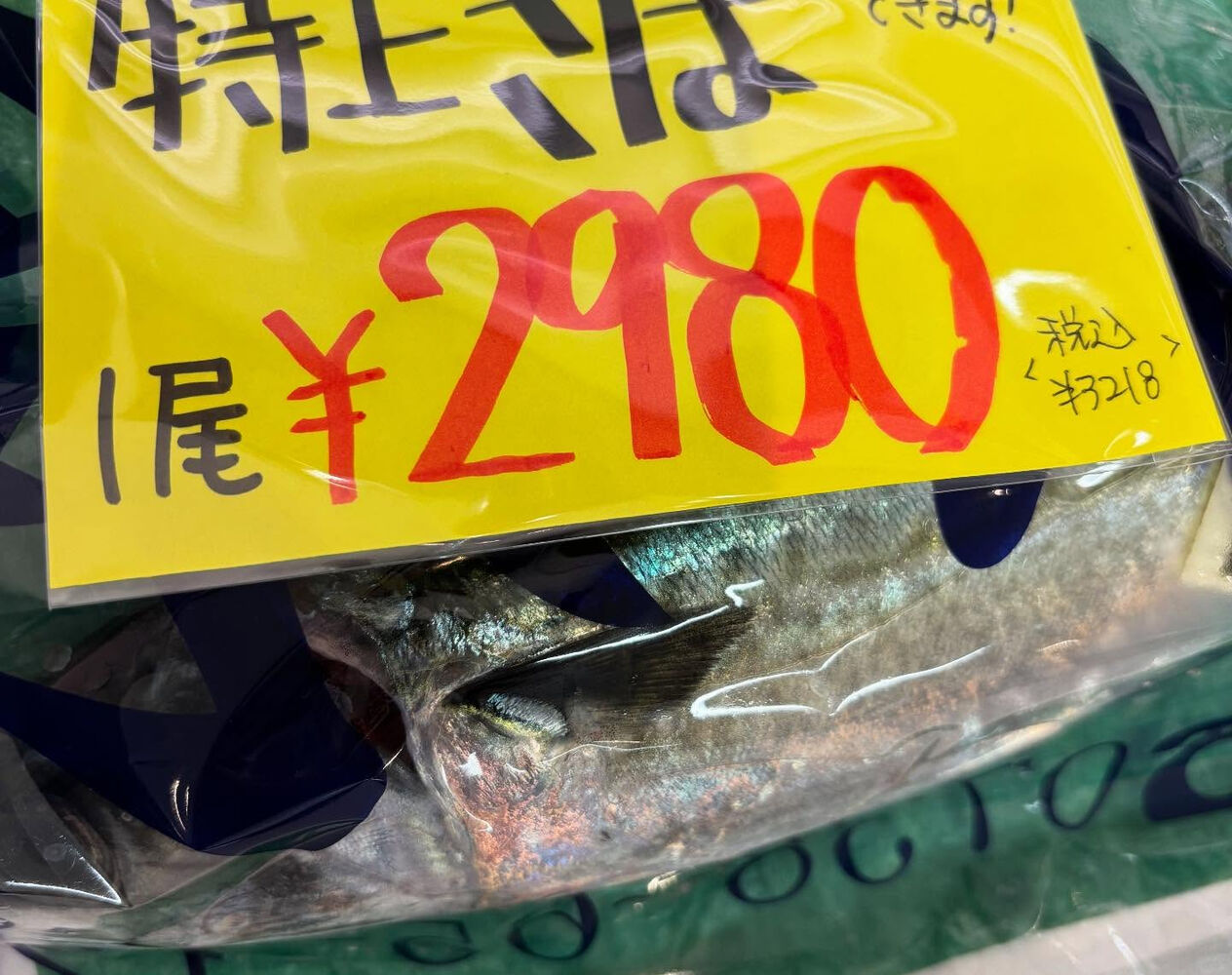 ブログ画像