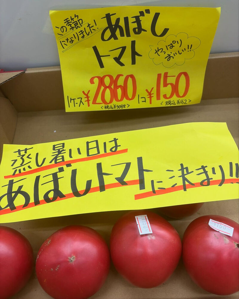 ブログ画像
