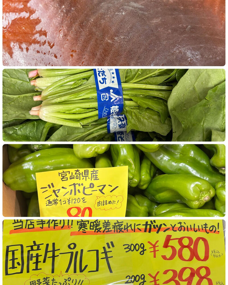 ブログ画像