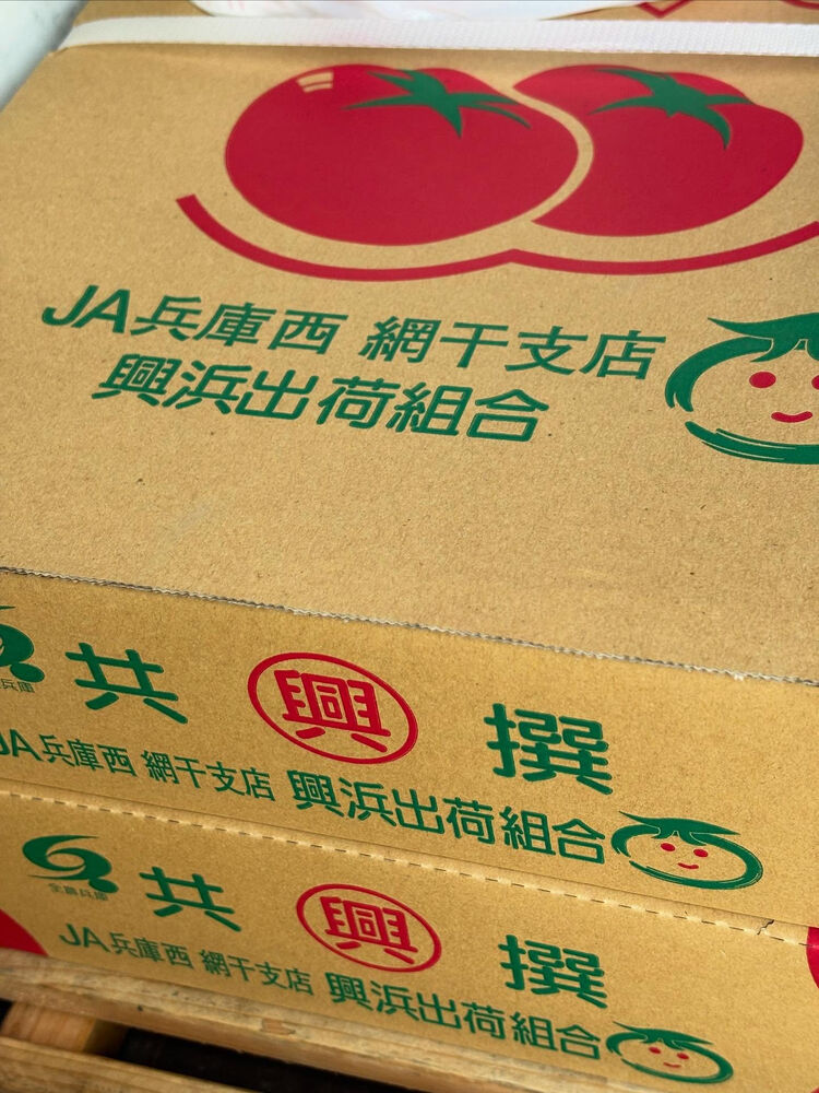 ブログ画像
