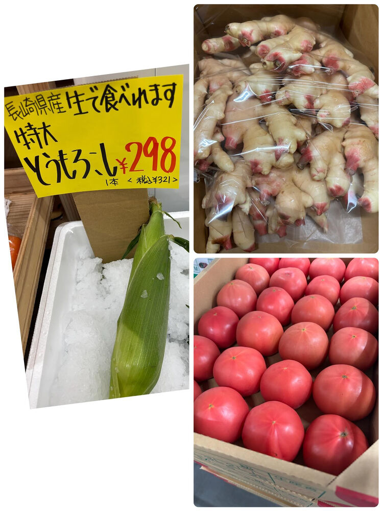 ブログ画像