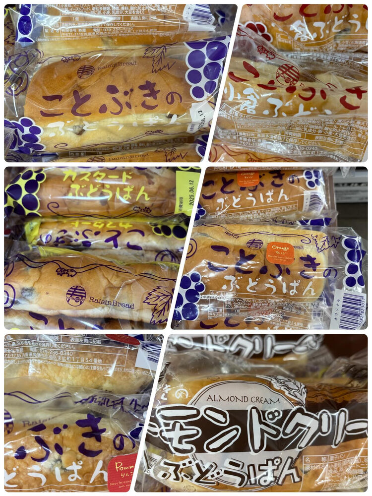 ブログ画像
