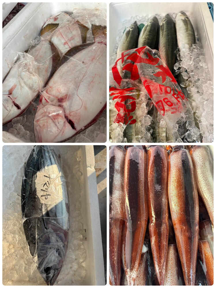 ブログ画像