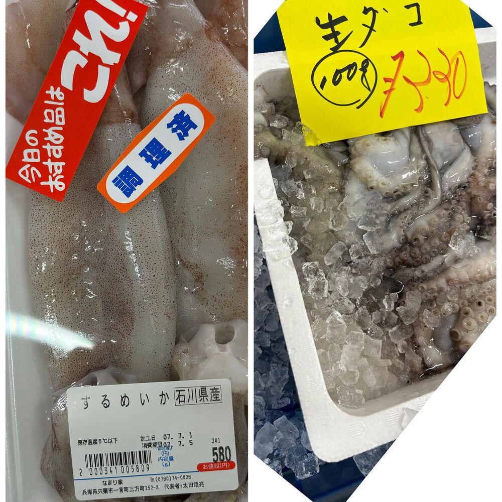 ブログ画像