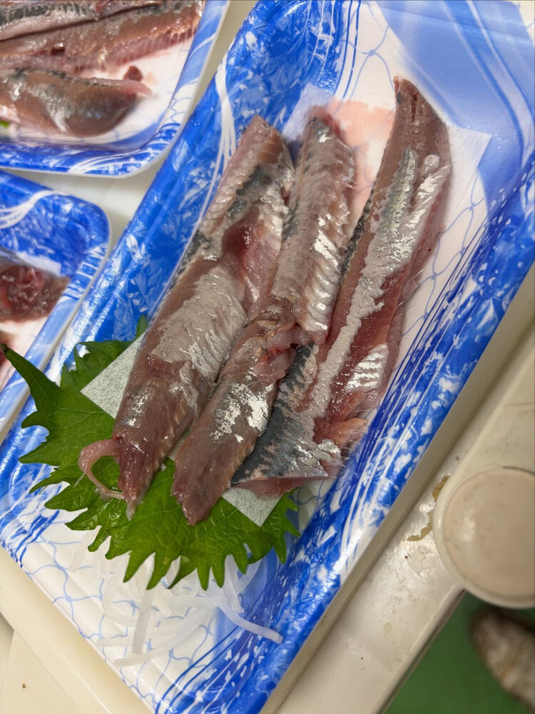 ブログ画像