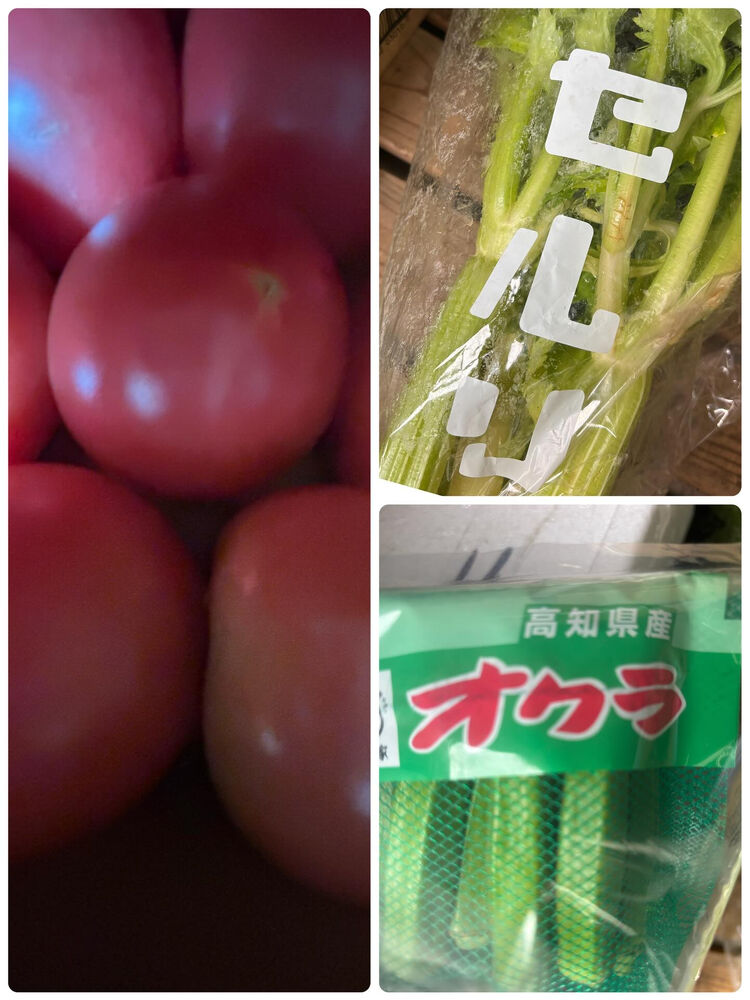 ブログ画像