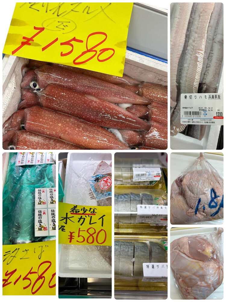 ブログ画像