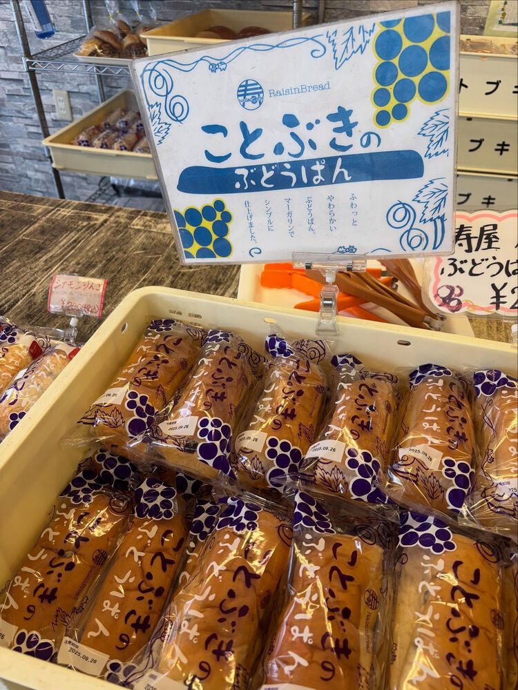 ブログ画像