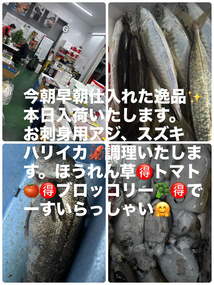 ブログ画像