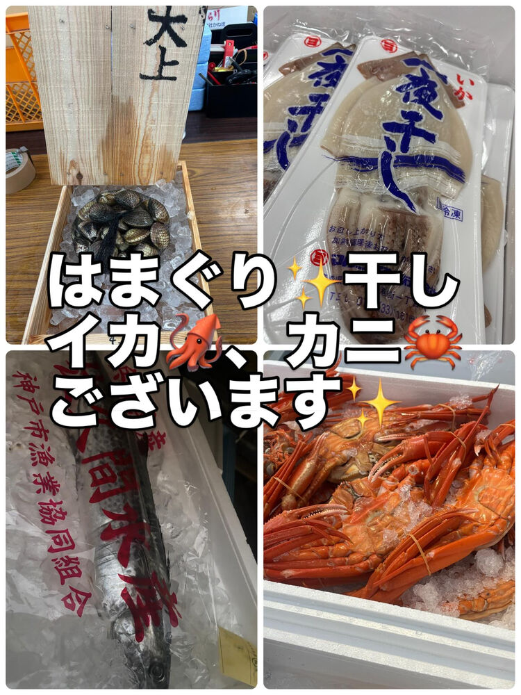 ブログ画像