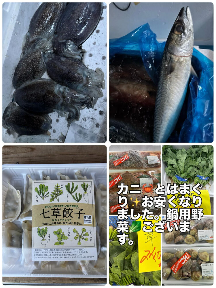 ブログ画像