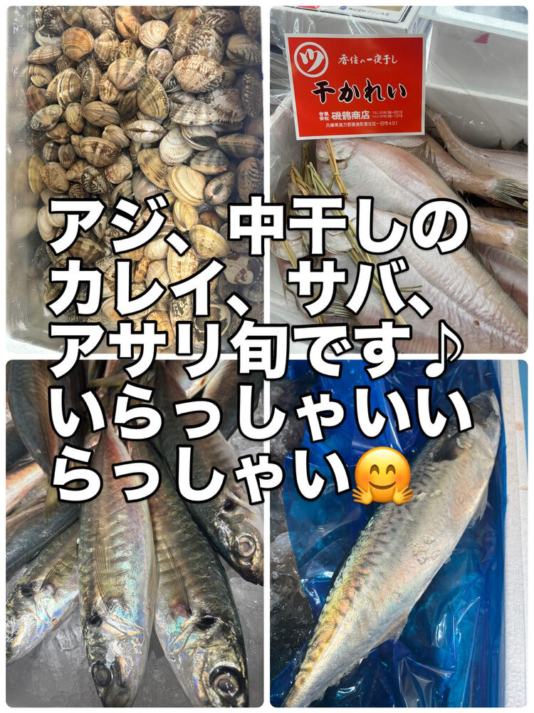 ブログ画像