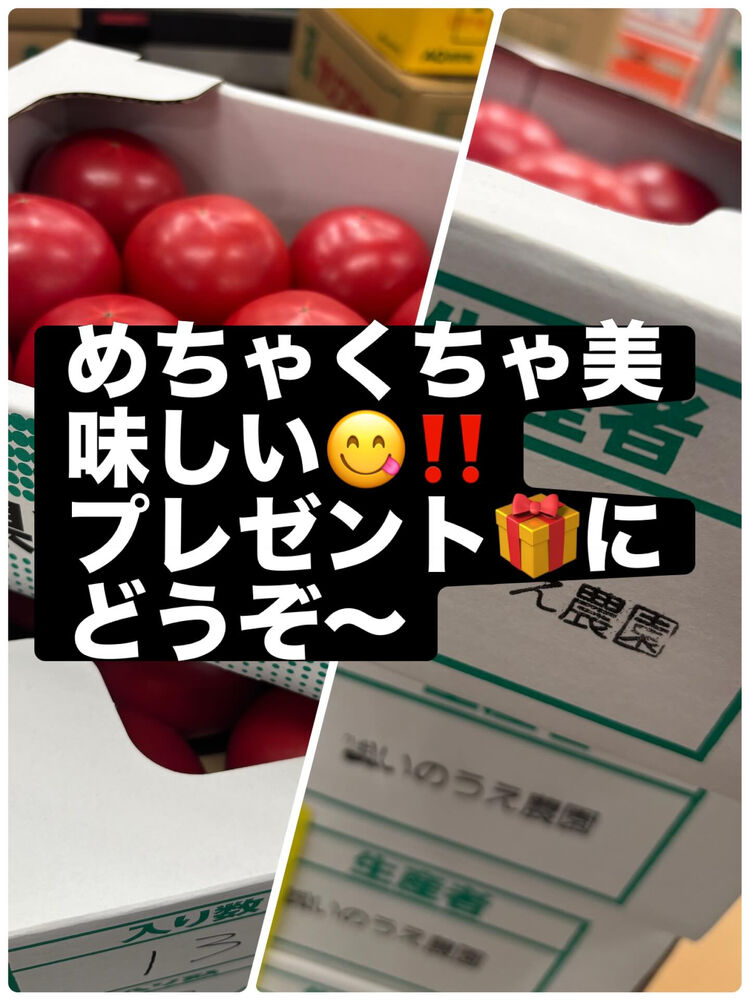 ブログ画像
