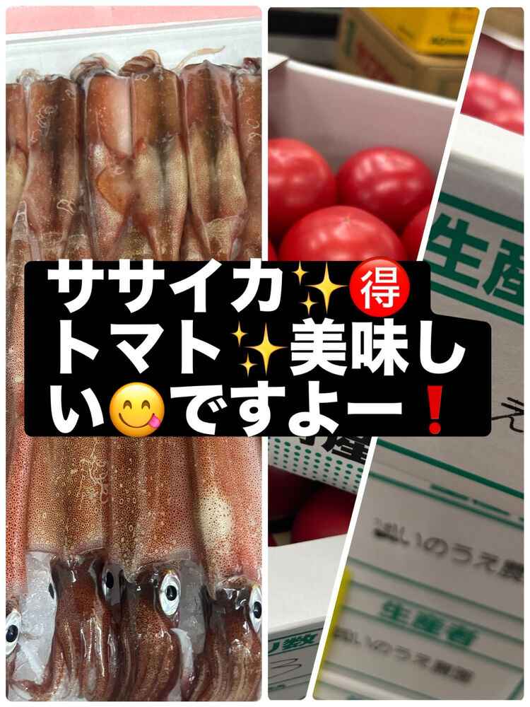 ブログ画像