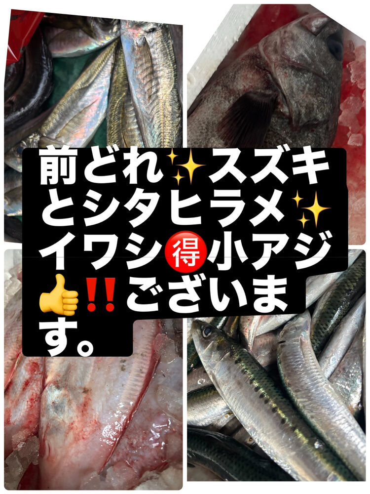 ブログ画像