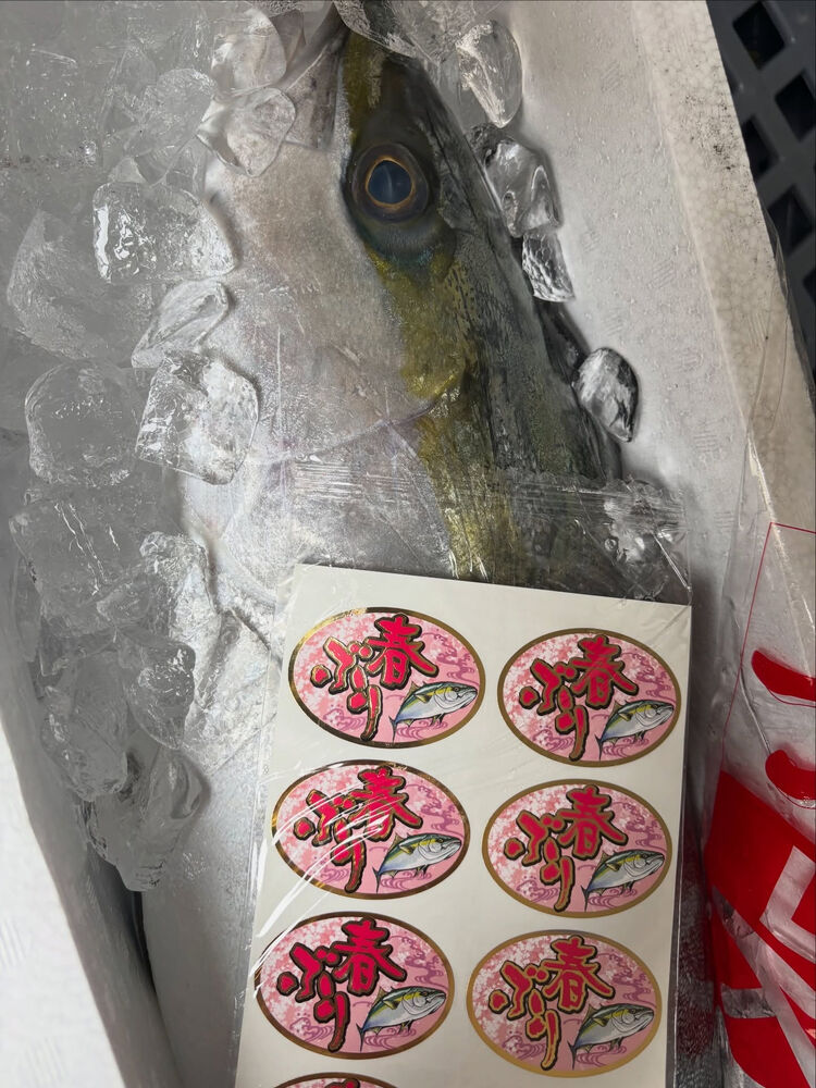 ブログ画像