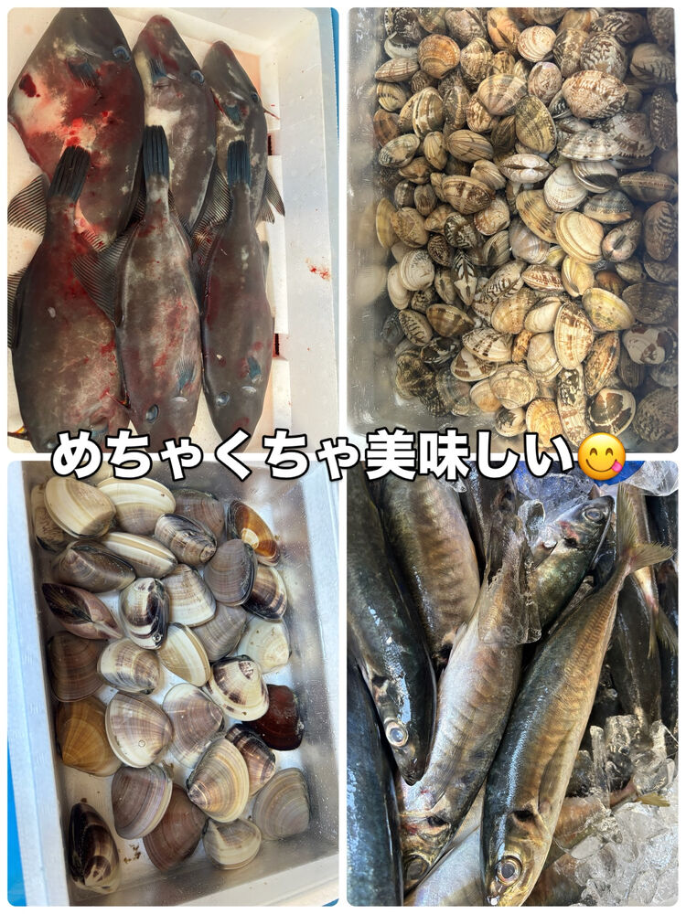 ブログ画像