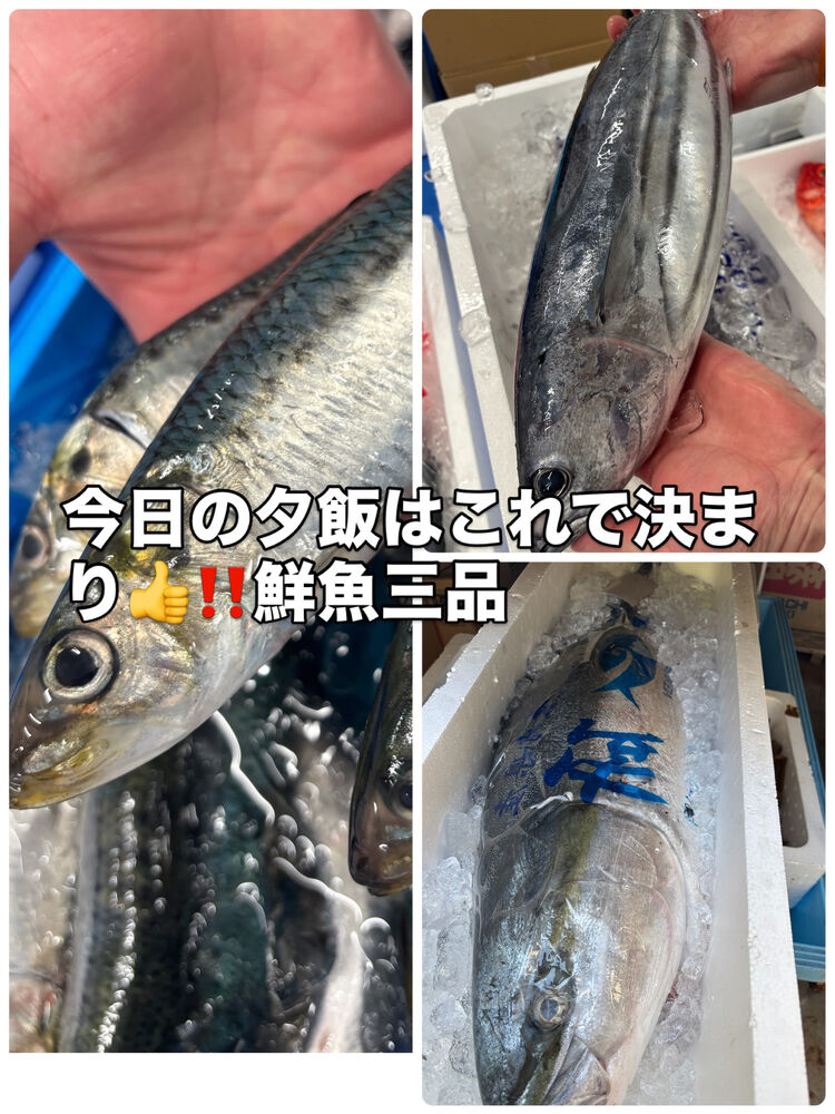 ブログ画像