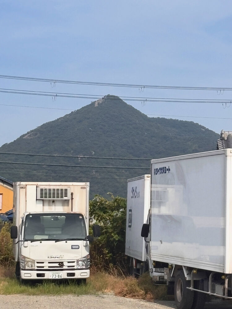 ブログ画像
